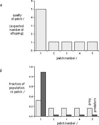 [Spatial Distribution]